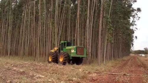 小树林吃瓜,一场别开生面的夏日盛宴 第2张 小树林吃瓜,一场别开生面的夏日盛宴 第2张
